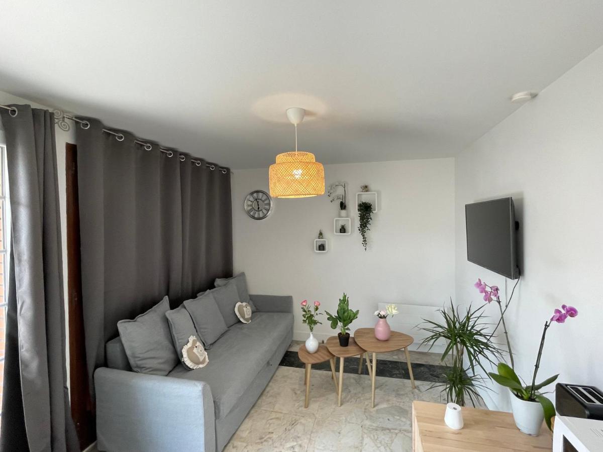 Joli T2, Terrasse Et Jardin, Ideal Pour Familles, A 15 Min De L'Aeroport Roissy Cdg Tremblay-en-France Eksteriør billede
